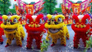 concept biểu diễn múa lân