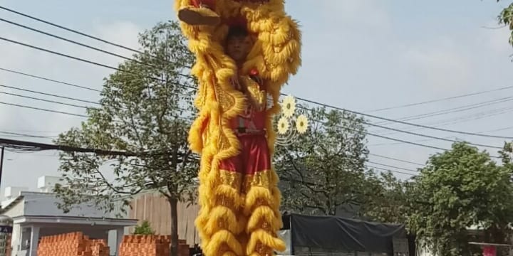 Múa lân I Cho thuê đội lân giá rẻ tại Bắc Kạn
