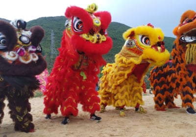 Bí Quyết Chọn Múa Lân Mai Hoa Thung Chuyên Nghiệp