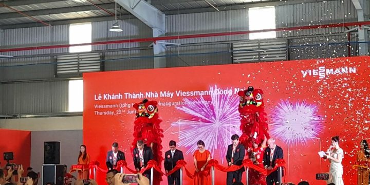 Múa Lân Xuất Phát Từ Đâu? Nguồn Gốc Và Ý Nghĩa