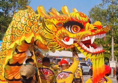 Vì Sao Múa Rồng Thường Xuất Hiện Dịp Tết Và Khai Trương?