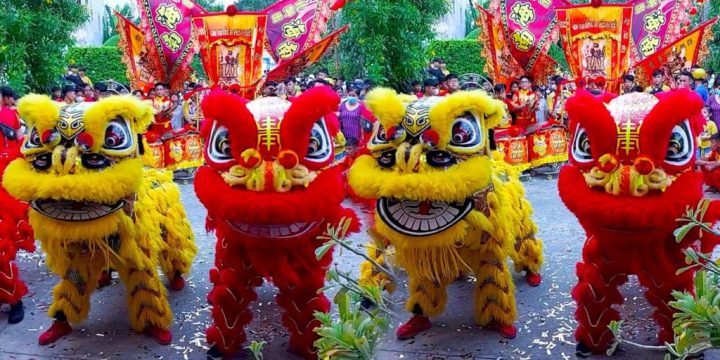 Ý Tưởng Múa Rồng Biểu Diễn Hoành Tráng Cho Sự Kiện