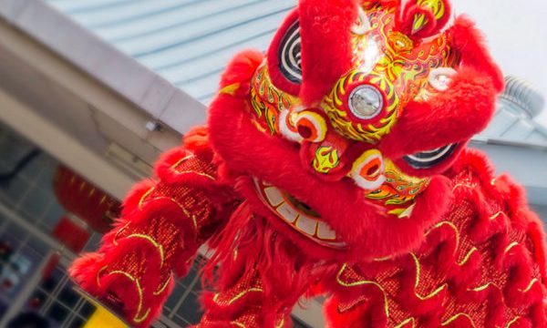 5 Concept Biểu Diễn Múa Lân Khiến Sự Kiện Bùng Nổ